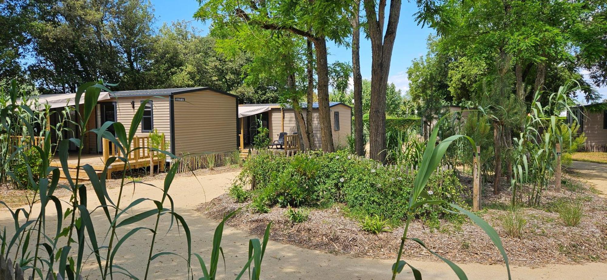 Camping Le Bois Verdon Saint-Jean-de-Monts Exterior foto